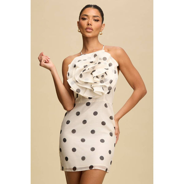 Marian Style - POLKA DOT FLORAL MINI DRESS