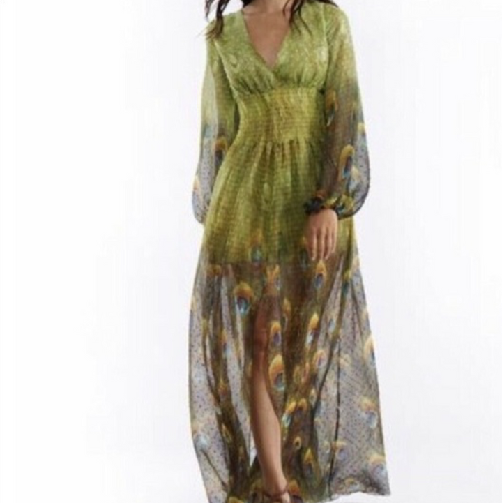 Dress- peacock print maxi dress - Marian Style Boutique