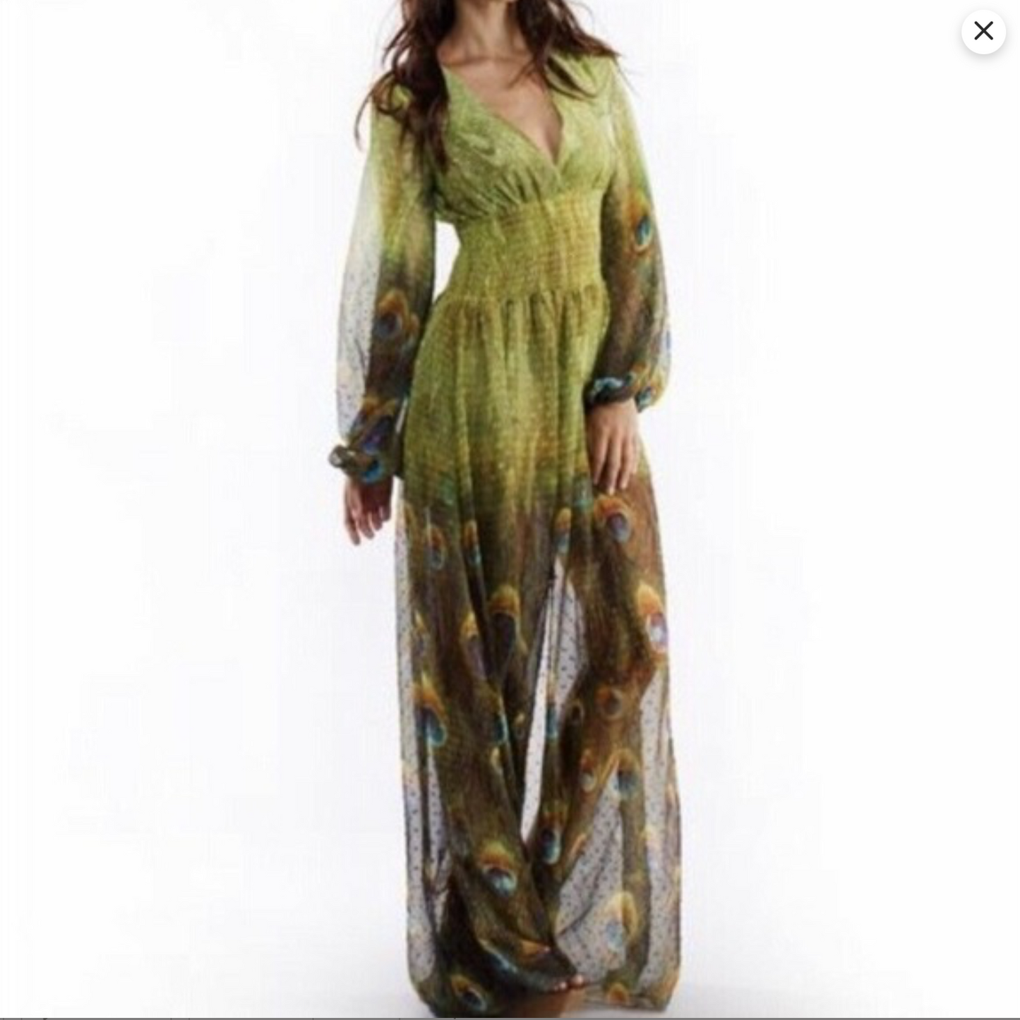 Dress- peacock print maxi dress