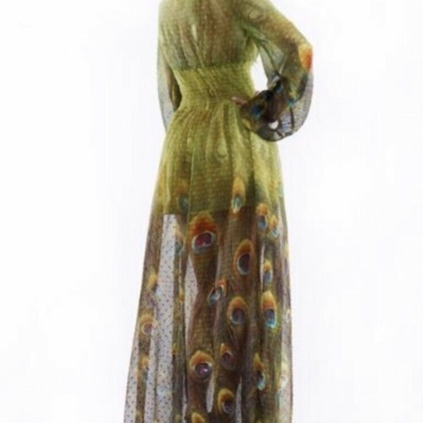 Dress- peacock print maxi dress