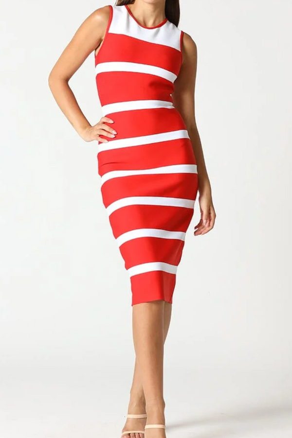 Marian Sleeveless Colorblock Zip-Back Bodycon Dress - Marian Style Boutique