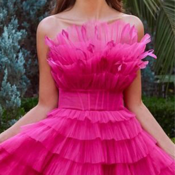 High Low Ruffled Tulle Skirt Embellished Feather Long Prom Dress - Marian Style Boutique